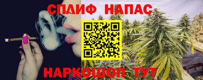спиды Моздок