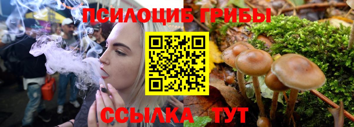 Усинск  Галлюциногенные грибы мицелий  Вход с VPN 